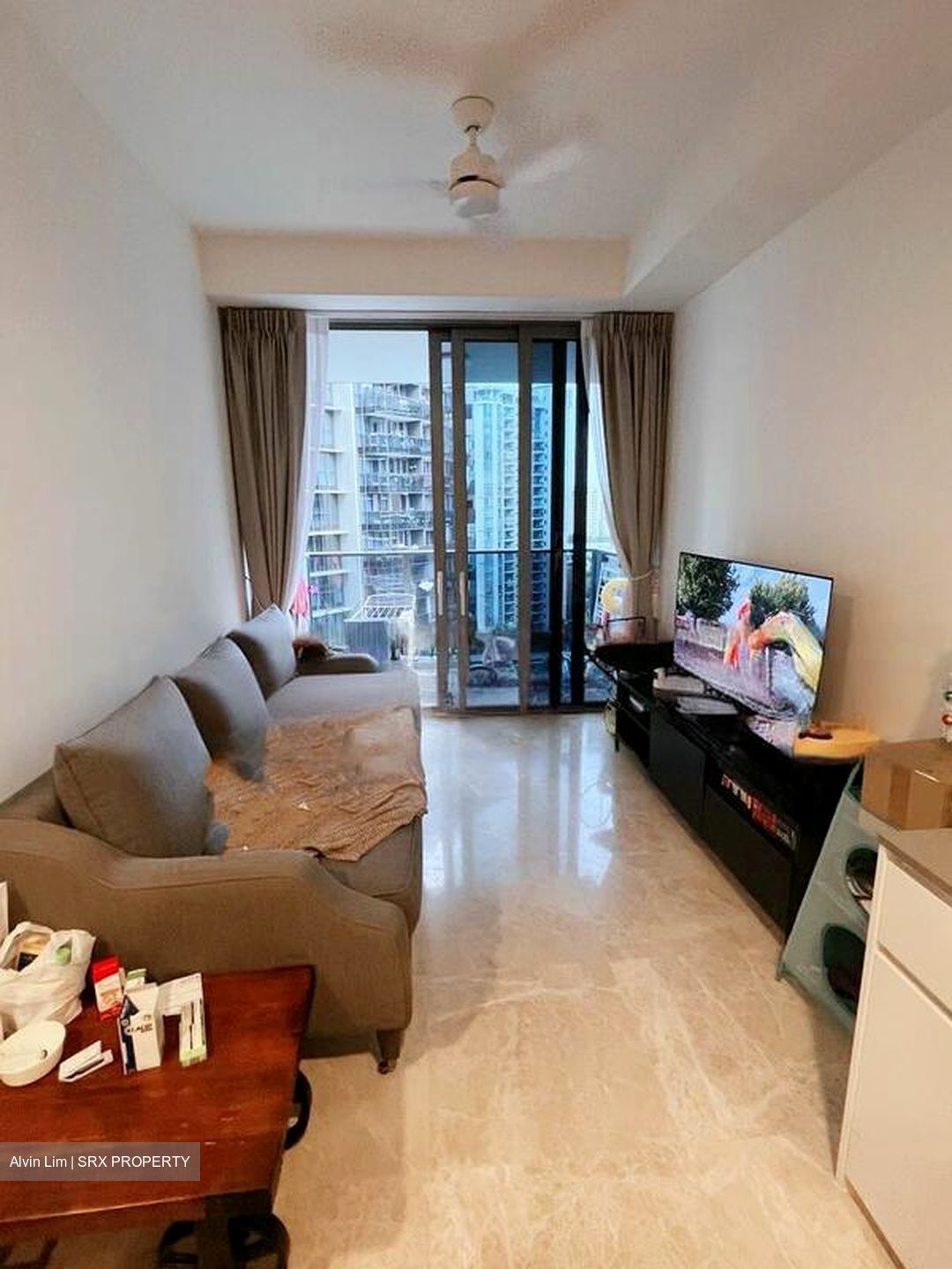 Amber Park (D15), Condominium #458053831